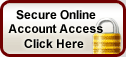 Secure Online Account Access